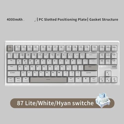 QPSJXN Krypton QS87 87-Key RGB Mechanische Tastatur mit DREI Modi Aluminium-Design und Messingkügelchen ideal für Verschiedene Systeme(HY Gray) von QPSJXN