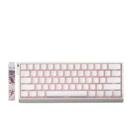 QPSJXN Magnetischer Hot Swap Mechanischer Spieltastatur mit 8K -Wahlrate für die Anpassung, die mit dem FGG -Modell kompatibel ist(MAD60HE Flagship B) von QPSJXN