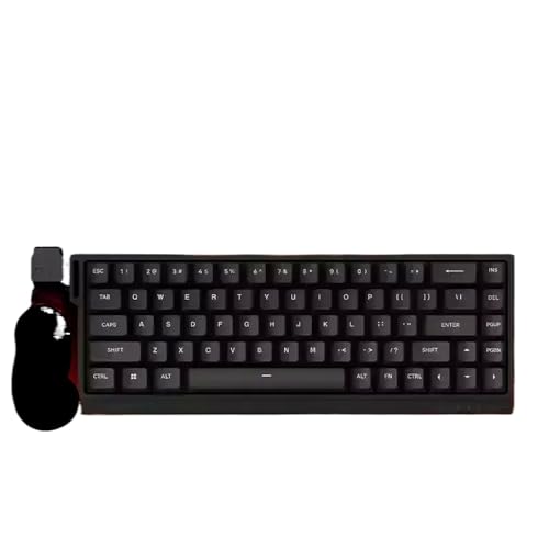 QPSJXN Magnetischer Hot Swap Mechanischer Spieltastatur mit 8K -Wahlrate für die Anpassung, die mit dem FGG -Modell kompatibel ist(MAD68HE RGB) von QPSJXN