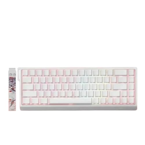 QPSJXN Magnetischer Hot Swap Mechanischer Spieltastatur mit 8K -Wahlrate für die Anpassung, die mit dem FGG -Modell kompatibel ist(MAD68HE RGB White) von QPSJXN