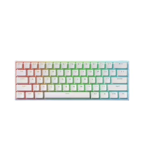 QPSJXN Mchose Ace 60 Pro 68 Magnetic Switch Hot Swappable RGB Mechanische Tastatur anpassbare -Tastatur für PC -Spielerzubehör(Pro White TTC Uranus) von QPSJXN