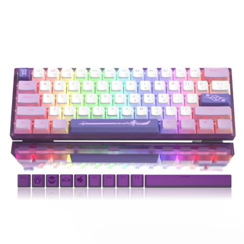 QPSJXN Mechanical Keyboard Hot-Swappable Kabel-RGB-Tastaturblau-Thema mit PBT-Tastaturkaps mit Windows-PC-Spielern kompatibel(WK61 Purple) von QPSJXN