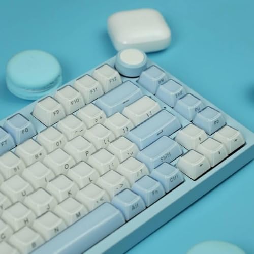 QPSJXN Translucent Pink Gelee Seitdruck Keycap OEM -Profil Eiskristall für MX -kompatible 61 68 104 Mechanische Tastaturen 113 Schlüssel(White) von QPSJXN