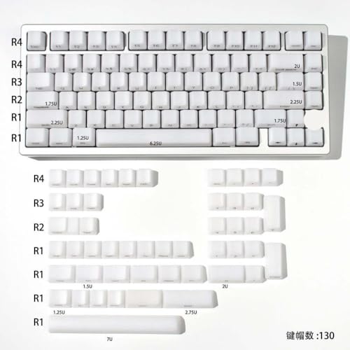 QPSJXN Transparenter Seidenbildschirm 130 OEM -Profil weiße Tastaturen für MX Mechanische Tastaturen 60 Prozent 65 Prozent 75 Prozent 95 Prozent von QPSJXN