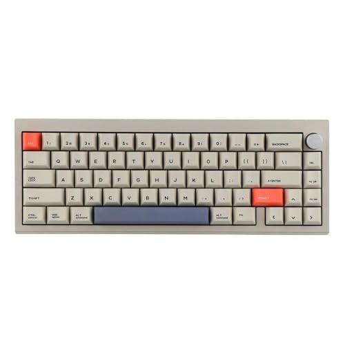QPSJXN V65 65 Prozent Dichtung montieren mechanische Tastatur verkabelt und drahtloses Heiß-Swap-Aluminium-Hülle PBT-Tastatur und Windows(Retro Grey-V2) von QPSJXN