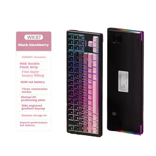 QPSJXN WLAN MECHANISCHE Tastatur DREI Modus Dichtung RGB Backlight Hot Swap Low Delay Gamer Accessoire 2.4g(BlackBerry 8000mAhSY) von QPSJXN