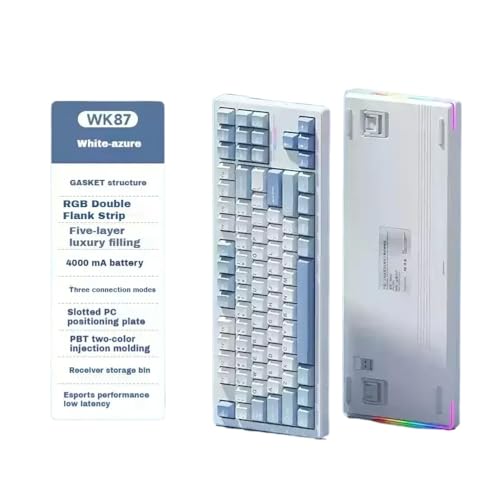 QPSJXN WLAN MECHANISCHE Tastatur DREI Modus Dichtung RGB Backlight Hot Swap Low Delay Gamer Accessoire 2.4g(Blue 4000mAh SY) von QPSJXN