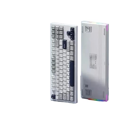 QPSJXN WLAN MECHANISCHE Tastatur DREI Modus Dichtung RGB Backlight Hot Swap Low Delay Gamer Accessoire 2.4g(Sea Fog 4000mAh LY) von QPSJXN