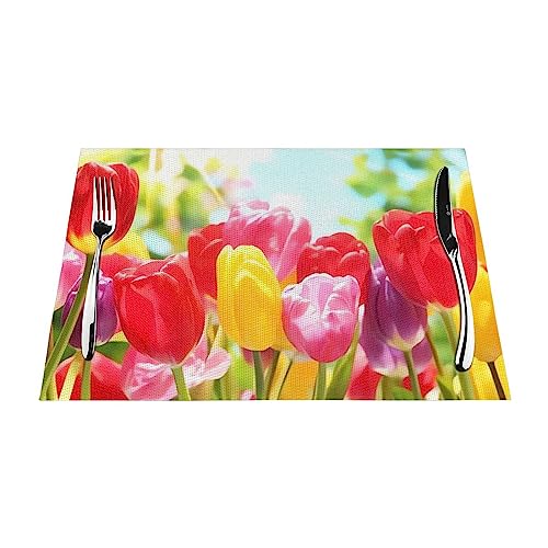 Bunte Tulpen-Tischsets Set mit 6 gewebten Tischsets für Esstisch, hitzebeständig, rutschfest, waschbar, PVC-Tischsets für Zuhause, Küche, Hochzeiten, Urlaub, Party-Dekoration von QQLADY