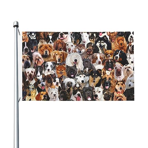 Flagge für viele Rassen, Hunde, 90 x 152 cm, lustige Outdoor-Banner, Urlaub, Gartenflagge, Willkommensbanner für Zuhause, Garten, Hof, Rasen, Dekoration, Flaggen, Indoor/Outdoor, doppelseitiger Druck Flagge für viele Rassen, Hunde, 90 x 152 cm, lustige Outdoor-Banner, Urlaub, Gartenflagge, Willkommensbanner für Zuhause, Garten, Hof, Rasen, Dekoration, Flaggen, Indoor/Outdoor, doppelseitiger Druck von QQLADY
