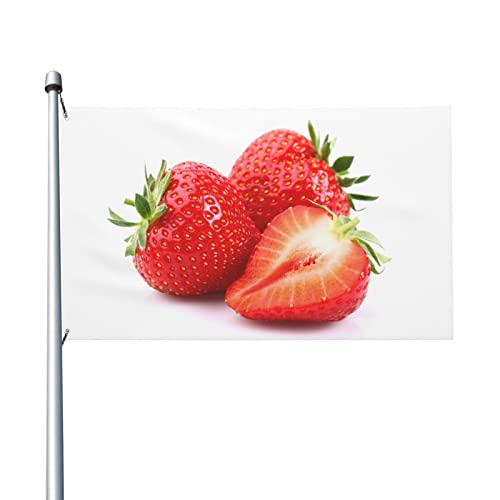 Frische Erdbeer-Flagge, 90 x 152 cm, lustige Outdoor-Banner, Urlaub, Gartenflagge, Willkommensbanner für Zuhause, Garten, Hof, Rasen, Dekoration, Flaggen, Indoor/Outdoor, doppelseitiger Druck von QQLADY