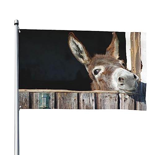Lustige Esel-Flagge, 1,2 x 1,8 m, lustige Outdoor-Banner, Urlaub, Gartenflagge, Willkommensbanner für Zuhause, Garten, Hof, Rasen, Dekoration, Flaggen, Indoor/Outdoor, doppelseitiger Druck von QQLADY