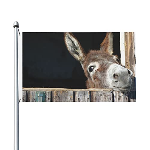 Lustige Esel-Flagge, 9,5 x 1,5 m, lustige Outdoor-Banner, Urlaubs-Gartenflagge, Willkommens-Banner, Zuhause, Garten, Hof, Rasendekoration, Flaggen, für drinnen und draußen, doppelseitiger Druck von QQLADY