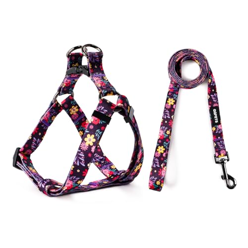 QQPETS Hundegeschirr mit Leine, verstellbar, strapazierfähig, kein Ziehen, für kleine, mittelgroße und große Rassen, Rückenclip, Anti-Verdrehen, perfekt zum Spazierengehen QQPETS Hundegeschirr mit Leine, verstellbar, strapazierfähig, kein Ziehen, für kleine, mittelgroße und große Rassen, Rückenclip, Anti-Verdrehen, perfekt zum Spazierengehen von QQPETS