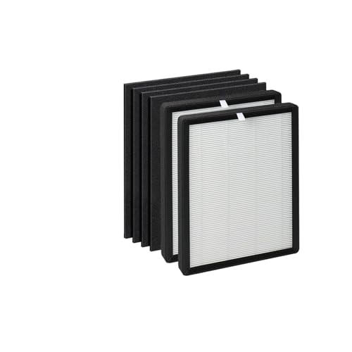 ProHEPA 9000 Echte HEPA-Filter, Kompatibel Mit VEVA, ProHEPA 9000 Luftreiniger, 2 HEPA-Filter + 4 Vorfilter Sieb von QQTRXGWHX