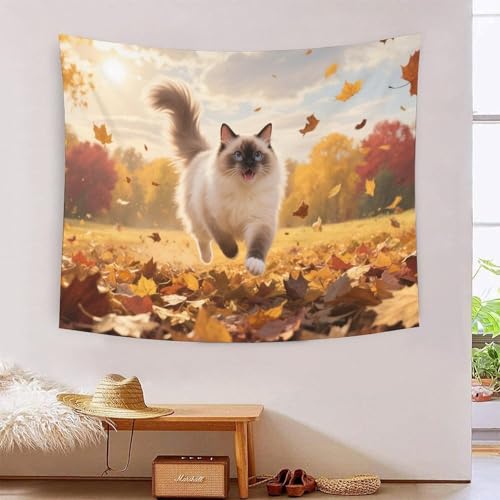 QQZNFTBVF Maine Coon 3D Printing Tapestry for Living Room Bedroom Decorations Wall Hanging Home Decor Poster 150cmx200cm von QQZNFTBVF