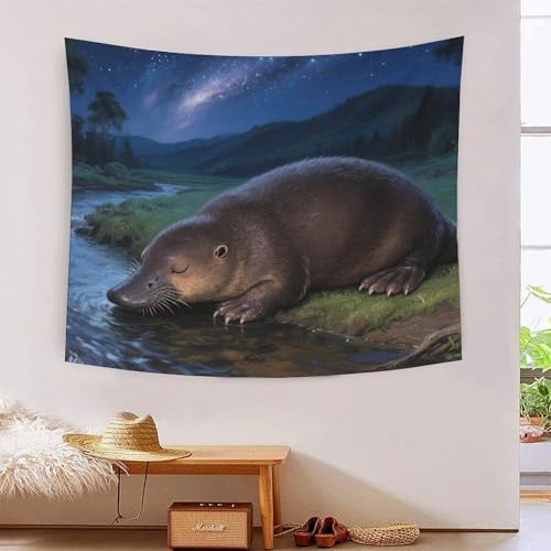 QQZNFTBVF Platypus 3D Printing Tapestry for Living Room Bedroom Decorations Wall Hanging Home Decor Wall Decor Blanket 130cmx150cm QQZNFTBVF Platypus 3D Printing Tapestry for Living Room Bedroom Decorations Wall Hanging Home Decor Wall Decor Blanket 130cmx150cm von QQZNFTBVF