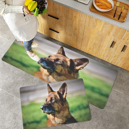 Küchenteppiche 2 Stück, Rutschfestes Küchenmatten,Deutscher Schäferhund Nahaufnahme Foto eines jungen Hundes,Pflegeleicht, Anti-Müdigkeit Küchenteppich Teppich Läufer für Küche (45x70+45x120cm) von QRFASFZO