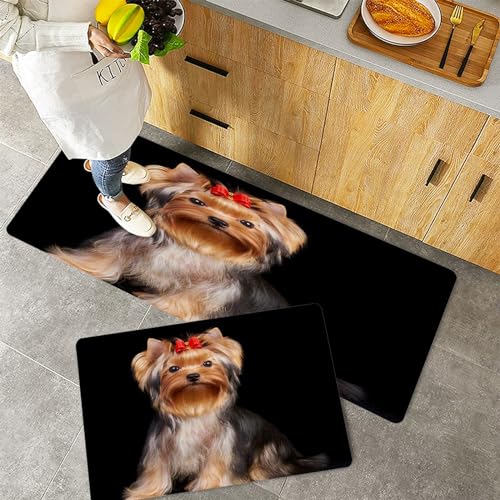 Küchenteppiche 2 Stück, Rutschfestes Küchenmatten,Yorkshire-Terrier auf dem schwarzen Hintergrund isoliert,Pflegeleicht, Anti-Müdigkeit Küchenteppich Teppich Läufer für Küche (45x70+45x120cm) von QRFASFZO