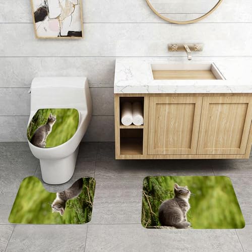 QRFASFZO 3 Stück Badematten und WC Vorleger Microfaser Weiches Badteppich badvorleger rutschfest Waschbar Badezimmerteppich Set,Tier, EIN graues Kätzchen, das auf einem Felsen sitzt und auf den Hint QRFASFZO 3 Stück Badematten und WC Vorleger Microfaser Weiches Badteppich badvorleger rutschfest Waschbar Badezimmerteppich Set,Tier, EIN graues Kätzchen, das auf einem Felsen sitzt und auf den Hint von QRFASFZO