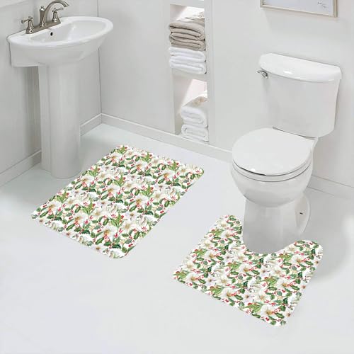 QRFASFZO Badezimmerteppich - Kit 2 Teile,Aquarell, Weihnachtsstern mit floralen Motiven WIns,absorbierbares waschbares Badezimmerteppich für Badewannen,Toiletten und Böden von QRFASFZO