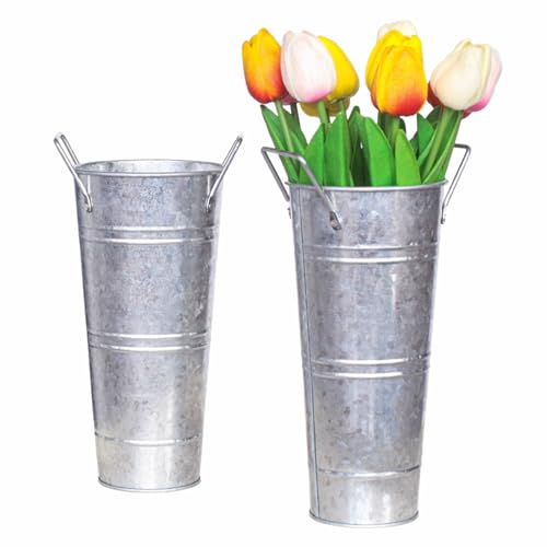 2 Stück 22,9 cm Vintage Metall verzinkt Blumenvase Bauernhaus Französische Blumeneimer Vasen mit Griffen hoch verzinktes Metall Pflanzkübel Eimer für Heimdekoration (Silber) von QRZLP