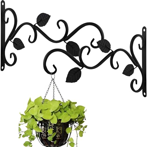 QRZLP 2 Pack Wandpflanzenaufhänger für drinnen und draußen, Metall Wandbehang Pflanzenhalterung Pflanzenhaken zum Aufhängen von Pflanzen, Vogelfutterspender, Windspiel, Laterne QRZLP 2 Pack Wandpflanzenaufhänger für drinnen und draußen, Metall Wandbehang Pflanzenhalterung Pflanzenhaken zum Aufhängen von Pflanzen, Vogelfutterspender, Windspiel, Laterne von QRZLP