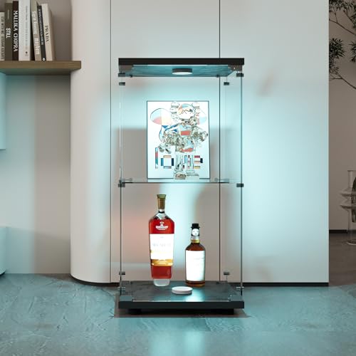 QSFCUB Vitrine aus LED-Glas, Vitrinenschrank für Sammlung, Vitrinen auf Fuß, 2-lagiger Schrank mit Schloss, Schaufenster für Neugierde (1 Tür, 2 Einlegeböden + LED, schwarz) von QSFCUB