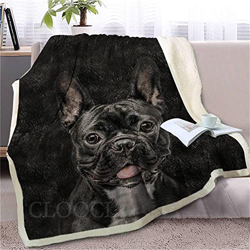 QSJSQTN Kuscheldecke Fleecedecke 180x220 cm Schwarze französische Bulldogge Decke Wohndecken 3D Druck Weichen Kuscheldecke Flauschig Fleecedecke als Sofadecke Couchdecke für Mädchen Jungen von QSJSQTN