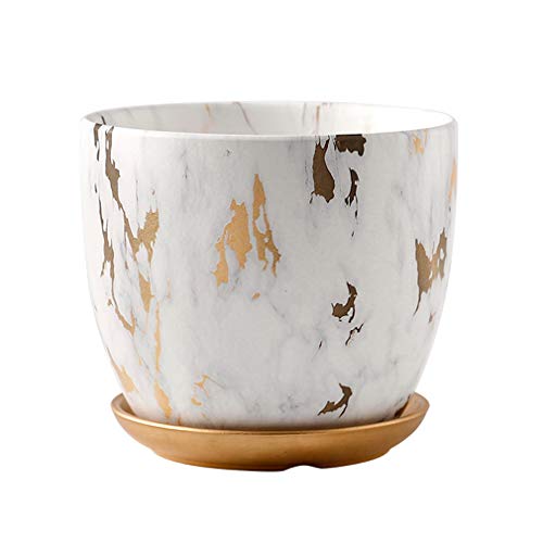 QSQWL Blumentopf Innen 18cm Durchmesser mit Drainageloch, Weiss & Gold Marmor Muster, Übertopf Gesicht mit Untersetzer - Deko Vase, Keramik Orchideentopf Übertopf,Golden Marble,M QSQWL Blumentopf Innen 18cm Durchmesser mit Drainageloch, Weiss & Gold Marmor Muster, Übertopf Gesicht mit Untersetzer - Deko Vase, Keramik Orchideentopf Übertopf,Golden Marble,M von QSQWL