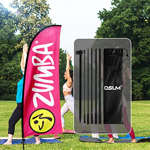 QSUM Zumba Fitness Feder Banner Swooper Flagge & Stange Kit Kommerzielle Werbung Display von QSUM