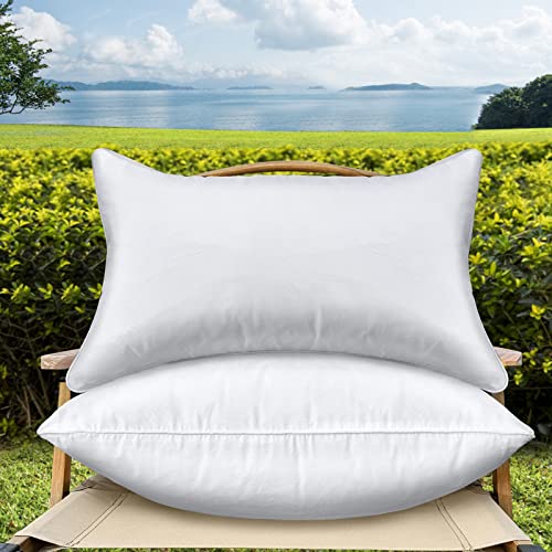 QSWRD Wasserdicht Kissenfüllung 2er Set (30x50 cm 2er Set) von QSWRD