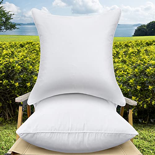 QSWRD Wasserdicht Kissenfüllung 2er Set (40x40 cm 2er Set) von QSWRD