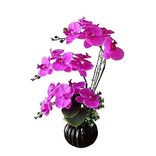 QSYJCCXD Künstliche Blume im Topf Künstliche Orchidee mit Vase, gefälschte Blume Phalaenopsis Kunstpflanzen für Wohnzimmer Arrangements Dekoration Weiß, lila, 50 cm künstliche Pflanzenblume QSYJCCXD Künstliche Blume im Topf Künstliche Orchidee mit Vase, gefälschte Blume Phalaenopsis Kunstpflanzen für Wohnzimmer Arrangements Dekoration Weiß, lila, 50 cm künstliche Pflanzenblume von QSYJCCXD