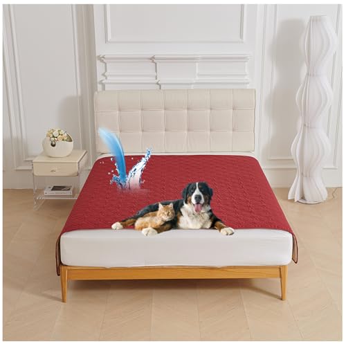 QSZTJJ wasserdichte Hundedecke Beidseitig verfügbar und Weich Hundematte schützt Bett und Sofa für großeund kleine Hunde, Schutz für Sofa & Bett& Auto (Rot,210x210cm) von QSZTJJ