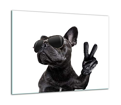 QTA | Herdabdeckplatte 60x52 Einteilig Glas Elektroherd Induktion Herdschutz Spritzschutz Glasplatte Schneidebrett Hund von QTA