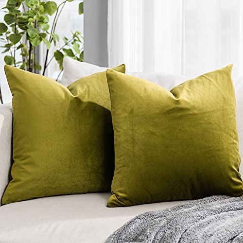 QUAFOO Couch-Kissenbezüge aus Samt, 45,7 x 45,7 cm, mit Reißverschluss, dekorativ, luxuriös, weich, einfarbig, quadratisch, für Sofa, Bett, Wohnzimmer, Auto, Olivgrün, 2 Stück von QUAFOO