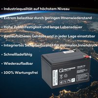 Quality Batteries - Elektro-Roller-Scooter Batterie Akku 12LCP-12 12V-13Ah zyklenfest qb Quality Batteries - Elektro-Roller-Scooter Batterie Akku 12LCP-12 12V-13Ah zyklenfest qb von QUALITY BATTERIES