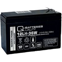 Quality Batteries - Ersatzakku für Panasonic UP-VW1245P1 12V 9Ah Hochstrom agm Batterie von QUALITY BATTERIES