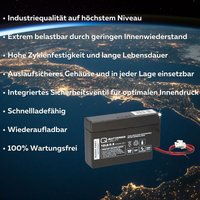 Quality Batteries - Q-Batteries 12LS-0.8 12V 0,8Ah Blei-Vlies-Akku / agm mit jst Stecker von QUALITY BATTERIES