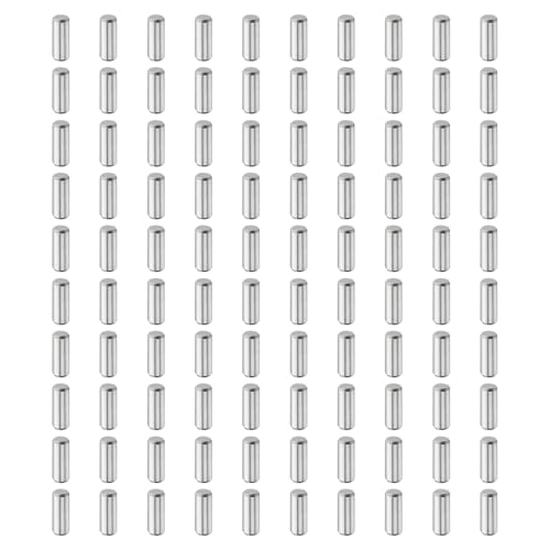 QUARKZMAN 100 Stück Zylinderstifte Rostfrei, 3mm x 8mm Dübelstifte Spannstift, 304 Edelstahl Metallstifte, Silberton Passstift Bolzen Metall für DIY, Möbel, Bastelprojekte von QUARKZMAN