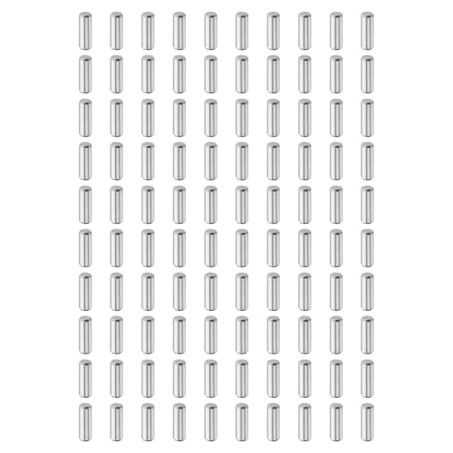 QUARKZMAN 100Stk 4mm x 12mm Dübelstifte, 304 Edelstahl Zylindrische Regalstützen Stifte Positionierstifte Regalbefestigungselemente für Bücherregal Schrank (GB119), Silber von QUARKZMAN