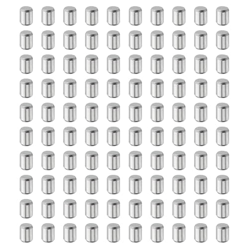 QUARKZMAN 100Stk 4mm x 6mm Dübelstifte, 304 Edelstahl Zylindrische Regalhaltebolzen Positionierstifte Regalbefestigungselemente für Bücherregal Schrank Möbelkomponente (GB119), Silber von QUARKZMAN