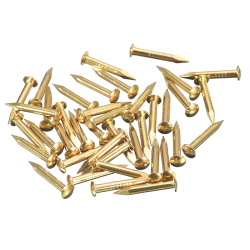 QUARKZMAN 120 Stück Messingnägel 2mmx15mm(DxL) Winzige Messing Nägel Hardware Nägel Kleine Nägel für Holz DIY Dekorative Boxen Haushaltszubehör, Messing Ton von QUARKZMAN