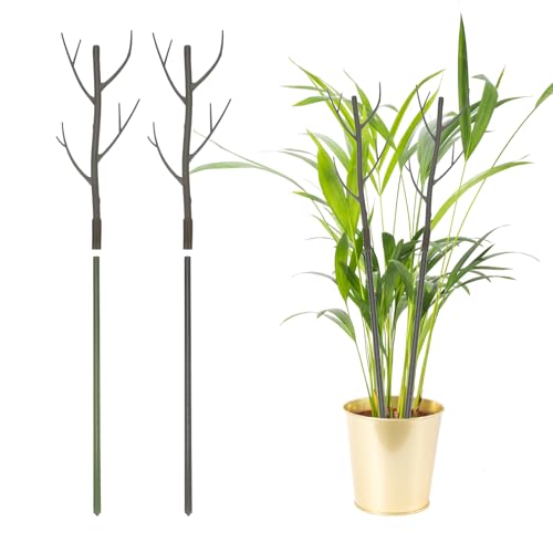 QUARKZMAN 2 Stück Pflanzenstützen, 27,5" Zweig Pflanzenstamm Stützstrukturen Garten Zweige Pflanzenstützen Für Haus Topf Monstera Pflanzen, Braun QUARKZMAN 2 Stück Pflanzenstützen, 27,5" Zweig Pflanzenstamm Stützstrukturen Garten Zweige Pflanzenstützen Für Haus Topf Monstera Pflanzen, Braun von QUARKZMAN