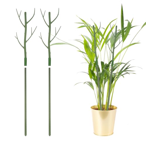 QUARKZMAN 2 Stück Pflanzenstützen, 27,5" Zweigpflanzenstielstützen Gartenzweige Pflanzenstützen für Haus Topf Monstera Pflanzen, Grün QUARKZMAN 2 Stück Pflanzenstützen, 27,5" Zweigpflanzenstielstützen Gartenzweige Pflanzenstützen für Haus Topf Monstera Pflanzen, Grün von QUARKZMAN
