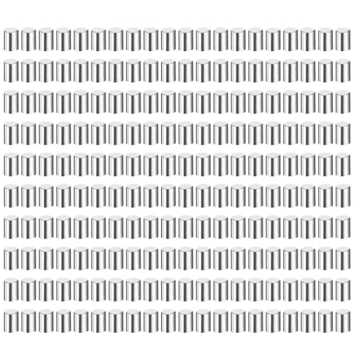 QUARKZMAN 200 Stück 2.5 mm x 4 mm Dübelstifte, 304 Edelstahl Zylindrische Regalstützstifte Positionierstift Regalbefestigungselemente Für Bücherregal Schrank (GB119), Silber von QUARKZMAN