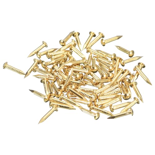 QUARKZMAN 250 Stück Messingnägel 1,5mmx10mm(DxL) Winzige Messing Nägel Hardware Nägel Kleine Nägel für Holz DIY Dekorative Boxen Haushaltszubehör, Messing Ton von QUARKZMAN
