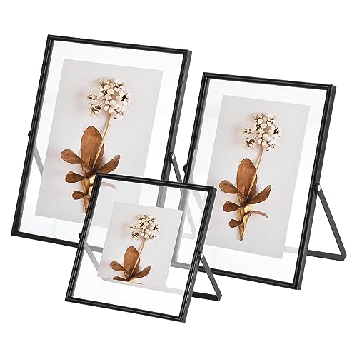 QUARKZMAN 3 Pcs Bilderrahmen 15x15cm & 15x20cm & 18x23cm Foto Glasbilderrahmen Set verschiedene Größe 6x6 & 6x8 & 7x9 Kunstrahmen für Ornament, Pflanzen, Kunstwerk, Büro, Schwarz von QUARKZMAN