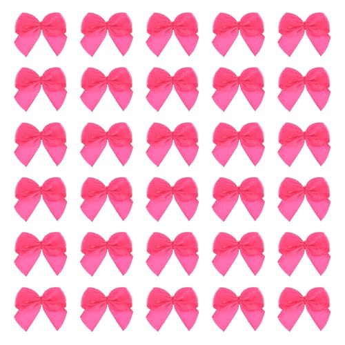 QUARKZMAN 30 Stück Mini Schleifenband 1" Mini Stoff Satin Schleifenblumen Für Basteln DIY Nähen Hochzeit Geburtstagsparty, Rosenrot von QUARKZMAN